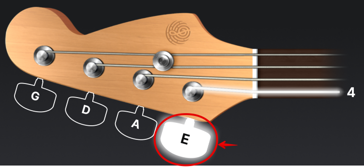 Tuning your bass – Yousician Support